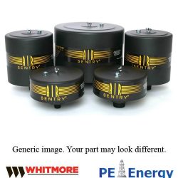 WHITMORE A206 PLEATED FILTER M-107 Part Number: 095A206