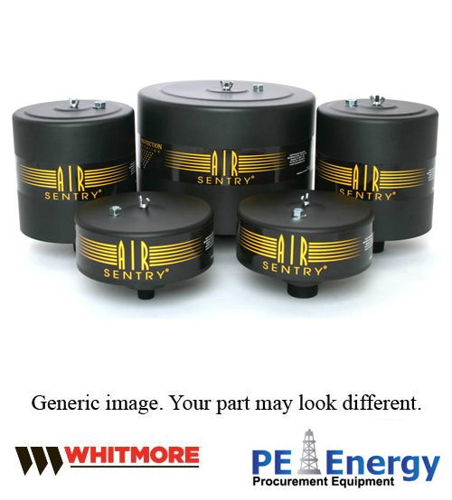 WHITMORE A206 PLEATED FILTER M-107 Part Number: 095A206