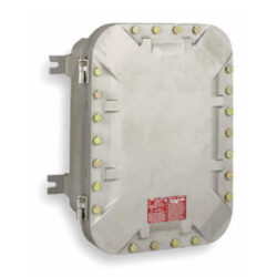 Módulo de Entrada y Salida a Prueba de Explotaciones Det-Tronics