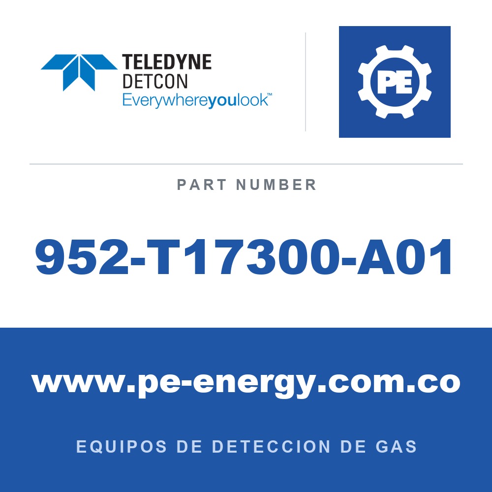 Detcon 952-T17300-A01 - Teledyne Detcon 952-T17300-A01 Analizador Model 1000, canal único, 0-10ppm H2S con falla de flujo de aire
