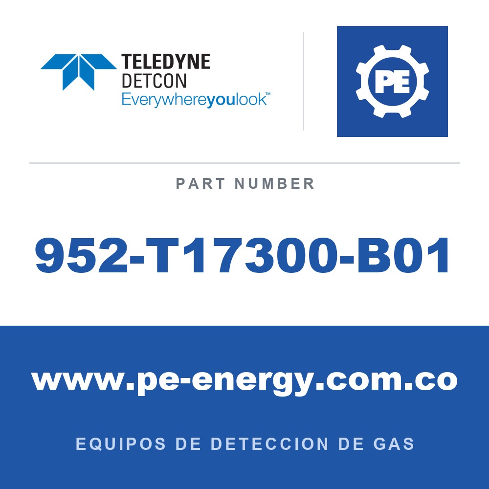 Detcon 952-T17300-B01 - Teledyne Detcon 952-T17300-B01 Analizador Model 1000, canal único, 0-25ppm H2S con falla de flujo de aire