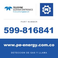 Oldham Simtronics 599-816841 - Oldham Simtronics 599-816841 Parasol, GD10P, montaje vertical (se requiere kit de placa de montaje en tubería)