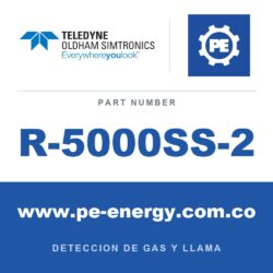 Oldham Simtronics R-5000SS-2 - Oldham Simtronics R-5000SS-2 Módulo de pantalla, carcasa de acero inoxidable (usar solo con unidades de fuente de 4-20mA)