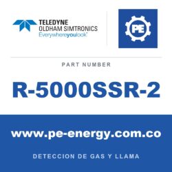 Oldham Simtronics R-5000SSR-2 - Oldham Simtronics R-5000SSR-2 Módulo de pantalla con relés, carcasa de acero inoxidable (usar solo con unidades de fuente de 4-20mA)