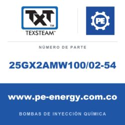Texsteam 25GX2AMW100/02-54 Bomba - BOMBA 25GX DÚPLEX (DPLX), 1/2 B-T/B, 3/16 SS B/B, 60:1, C/B