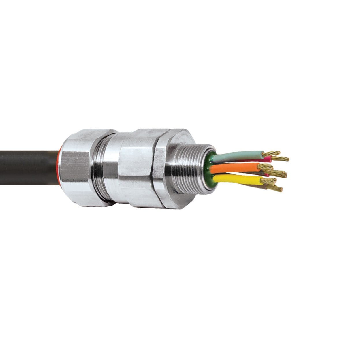 appleton px2kx rex cg Appleton Appleton