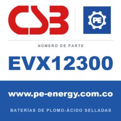 CSB Battery EVX12300 - CSB EVX12300 Batería de plomo-ácido sellada 12V 30Ah