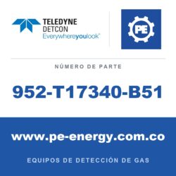 Teledyne Detcon 952-T17340-B51 Analizador Model 1000, canal doble, sensor 1 0-25ppm H2S, sensor 2 0-5% CO2 por vol. con falla de flujo de aire