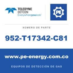Teledyne Detcon 952-T17342-C81 Analizador Model 1000, doble canal, sensor 1 0-50ppm H2S, sensor 2 0-25% CO2 por vol. con falla de flujo de aire