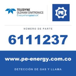 Oldham Simtronics 6111237 Fuente de alimentación 230 Vac/ 24 Vdc 10A