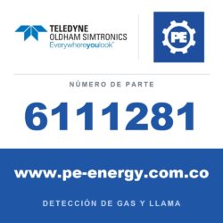 Oldham Simtronics 6111281 FUENTE DE ALIMENTACIÓN ININTERRUMPIDA EV 24V 12A C85 AB 40Ah, suministrada con batería, salida 24V - 12A, dimensiones 425x315x120mm, peso 29kg