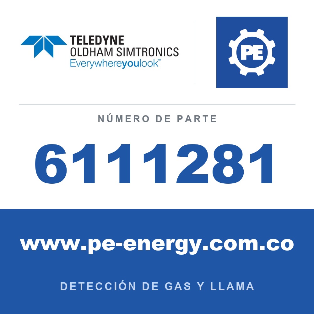 Oldham Simtronics 6111281 FUENTE DE ALIMENTACIÓN ININTERRUMPIDA EV 24V 12A C85 AB 40Ah, suministrada con batería, salida 24V - 12A, dimensiones 425x315x120mm, peso 29kg