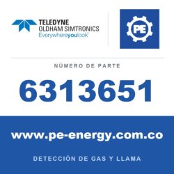 Oldham Simtronics 6313651 Sensor de H2, hidrógeno 0-2 % Vol. para CTX 300