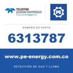 Oldham Simtronics 6313787 CO, monóxido de carbono 0-1000 ppm, mini