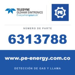 Oldham Simtronics 6313788 H2S, sulfuro de hidrógeno 0-100 ppm, mini