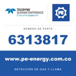 Oldham Simtronics 6313817 O2, Oxígeno 0-30% Vol. mini