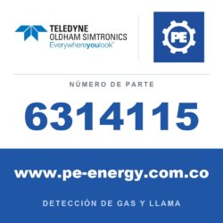 Oldham Simtronics 6314115 Gabinete para la implementación de 2 módulos (se entrega sin los módulos)