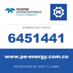 Oldham Simtronics 6451441 Tarjeta de 2 canales para detector de puente de Wheatstone (340-370 mA)
