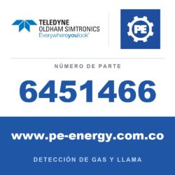 Oldham Simtronics 6451466 Placa de pantalla para CTX300 Especifique el gas y el rango