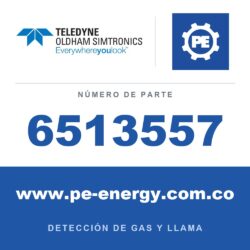 Oldham Simtronics 6513557 Detector CTX300 con pantalla - sin sensor. Por favor, especifique el gas y el rango