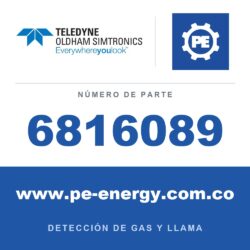 Oldham Simtronics 6816089 Placa firme BM25A (placa trasera)