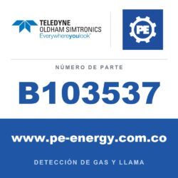 Oldham Simtronics B103537 Gabinete con vidrio para válvula de 3" a 4" (GAZ70009), 600 x 600 x 300 (mm)