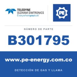 Oldham Simtronics B301795 Gabinete de montaje en pared con ventana para MX32v2 o MX 43 (versión de montaje en pared) y fuente de alimentación ininterrumpida (B103829 o B103830)
