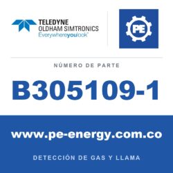 Oldham Simtronics B305109-1 Gabinete equipado: protección de fuente de alimentación / fusible / cableado / servicios