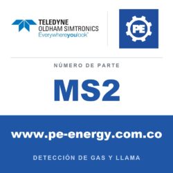 Oldham Simtronics MS2 0-100% LEL, IEC