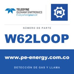 Oldham Simtronics W62LOOP Módulo de bucle que incluye 1 cable plano de 0,5m