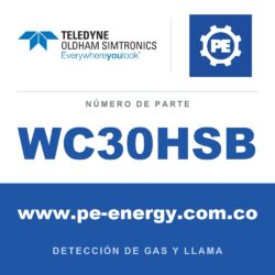 Oldham Simtronics WC30HSB CTX 300 sin pantalla H2S, sulfuro de hidrógeno 0-100 ppm