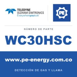 Oldham Simtronics WC30HSC CTX 300 sin pantalla H2S, sulfuro de hidrógeno 0-1000 ppm