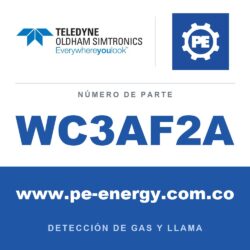 Oldham Simtronics WC3AF2A CTX 300 con pantalla F2, Flúor 0-1 ppm