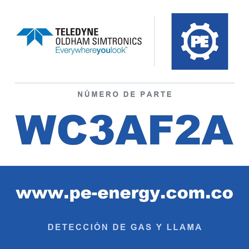 Oldham Simtronics WC3AF2A CTX 300 con pantalla F2, Flúor 0-1 ppm