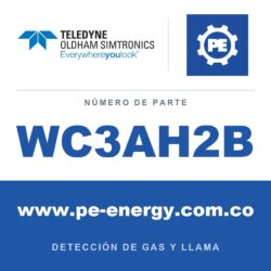Oldham Simtronics WC3AH2B CTX 300 con pantalla H2, Hidrógeno 0-2% Vol.
