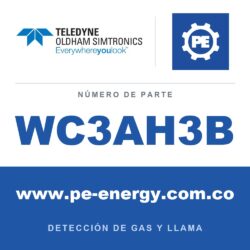 Oldham Simtronics WC3AH3B CTX 300 con pantalla H2, Hidrógeno 0-4% Vol.