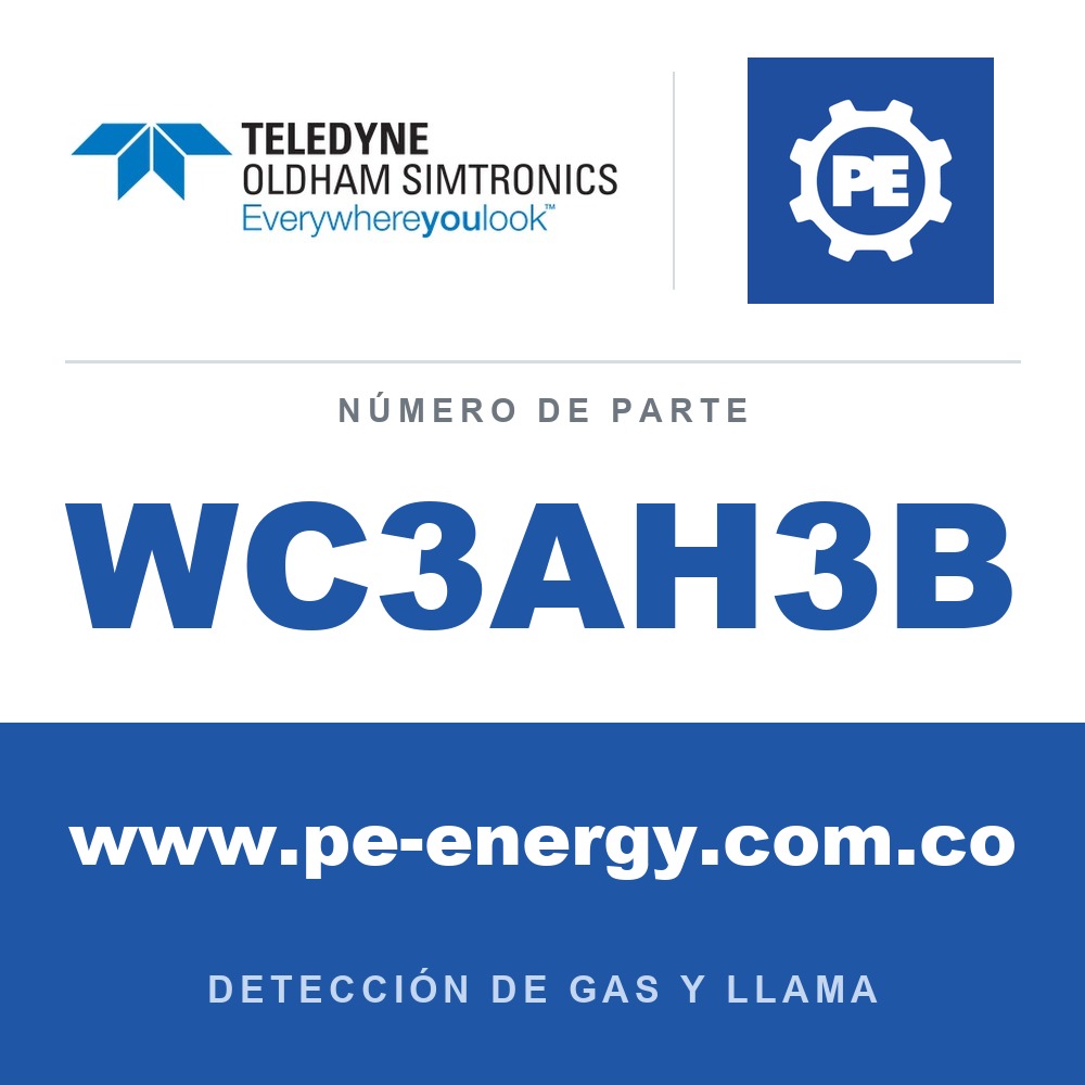 Oldham Simtronics WC3AH3B CTX 300 con pantalla H2, Hidrógeno 0-4% Vol.