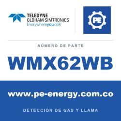 Oldham Simtronics WMX62WB Interfaz WB - adaptador para 2 detectores tipo puente de Wheatstone, 2 x 4-20 mA analógicos
