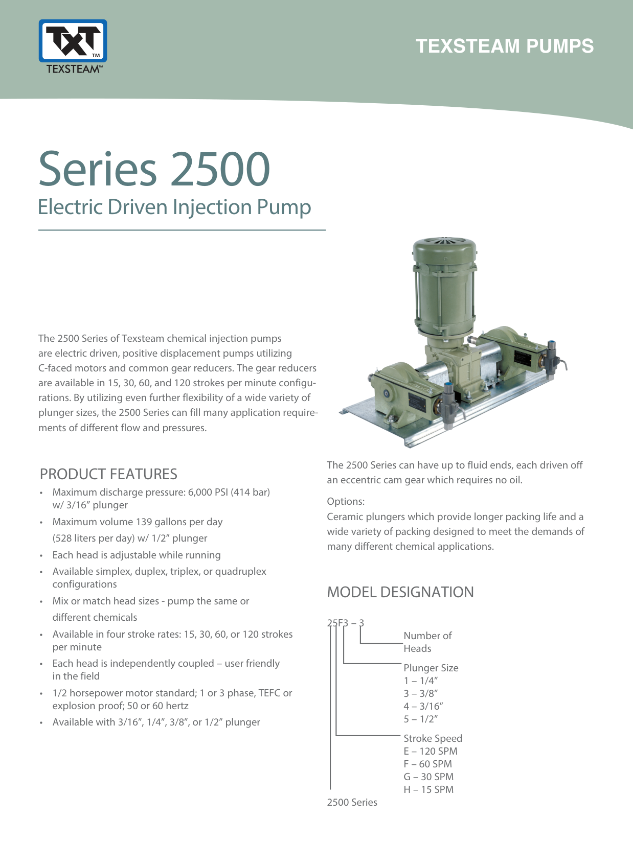 Bomba eléctrica de inyección química Texsteam Serie 2500