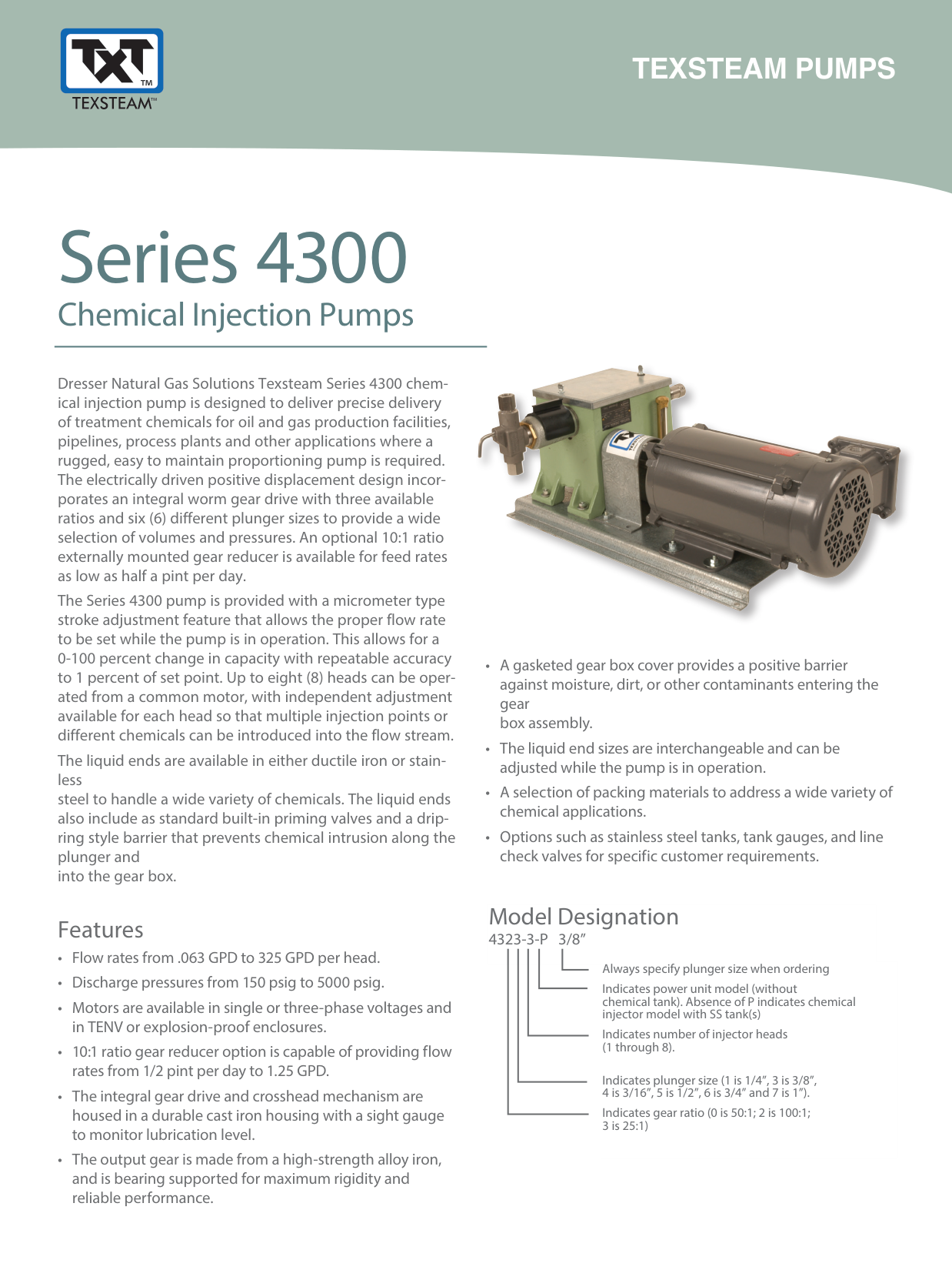 Bomba de inyección química Texsteam Series 4300